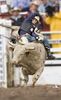 Rodeo - Sat/Sun 2005 : I was sad to see it end.  I learned so much from the other photographers.  Saturday was my first opportunity to shoot from the pit.  I just needed to be about 1 to 2 feet taller!  I noticed some people brought step stools with'em.  Even Nagadoches at 6' 3" had his egg crate to stand on.  I did manage to get some good shots as well as get sprayed with a fair amount of dirt.  The free beer and bourbon at the Barrell was cool.  Happy to report that Sparks passed his Codes cert after our studying in that little grey bricked room between bull riding rounds.  I hope they let me do this again next year!